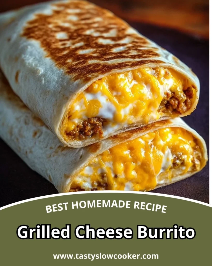 Delicious grilled cheese burrito served with toppings on a plate